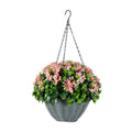 21 In Uv Resistant Mini Gardenia Hanging Basket Indoor Outdoor