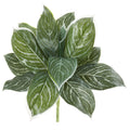 21 Silver Aglonema Artificial Plant Real Touch Set Of 6
