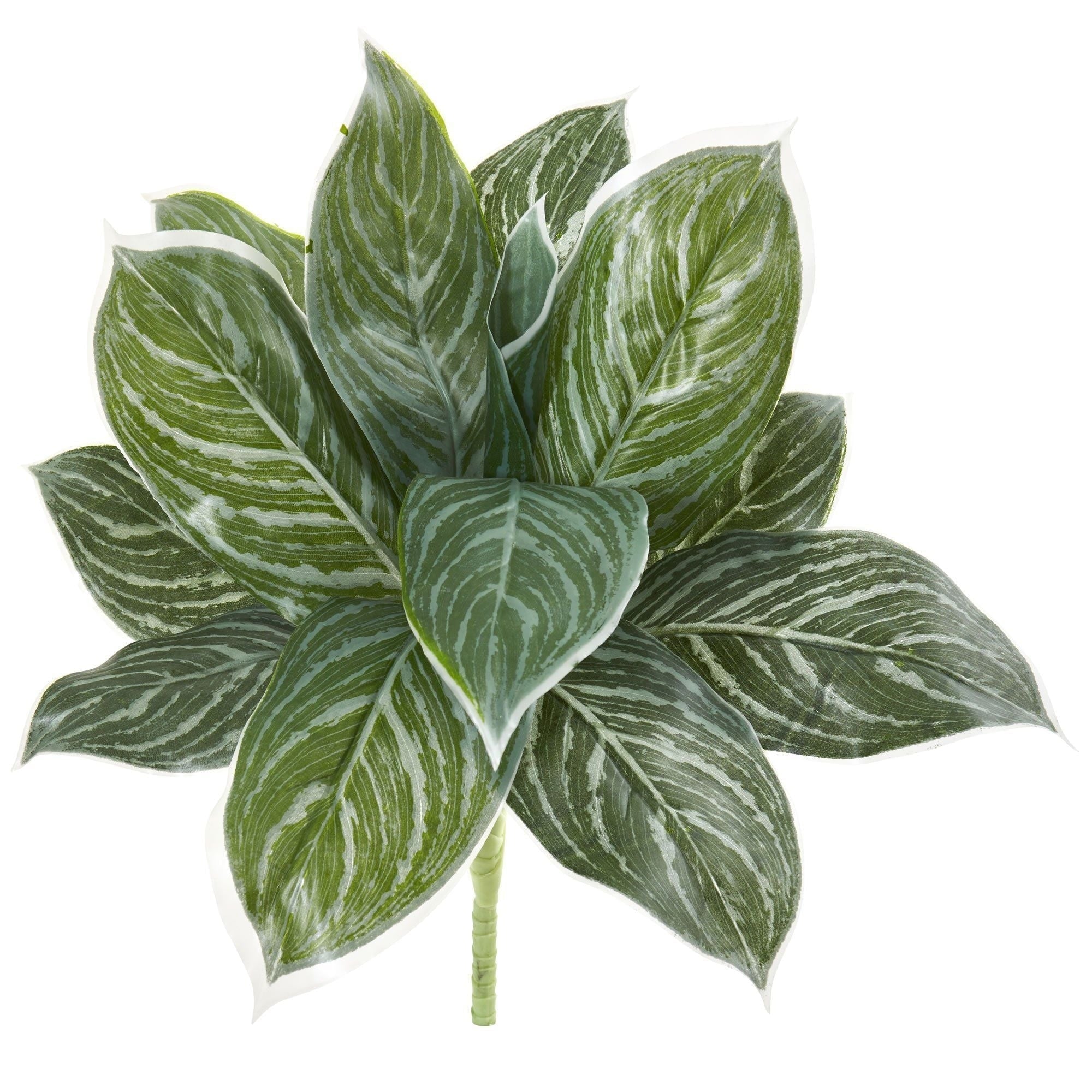 21 Silver Aglonema Artificial Plant Real Touch Set Of 6