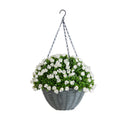 22 In Uv Resistant Mini Rose And Aptenia Hanging Basket