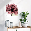 Chianti Rose Ii Flower Wall Art On Frameless Free Floating Tempered Pink White