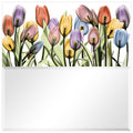 Tulip Scape Square Beveled Mirror On Printed Tempered Art Glass Clear 38 X 38