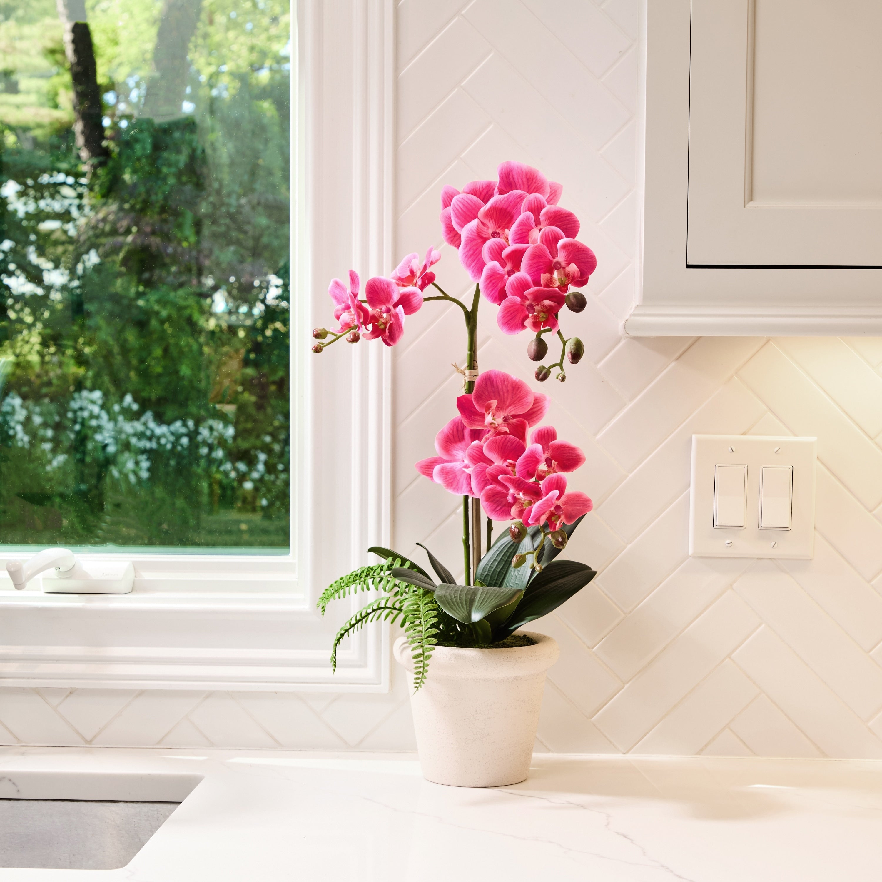 23 Phalaenopsis 3 Buds And Fern In Terracotta Pot
