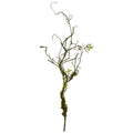 24 Moss Twig Vine Artificial Plant Set Of 6