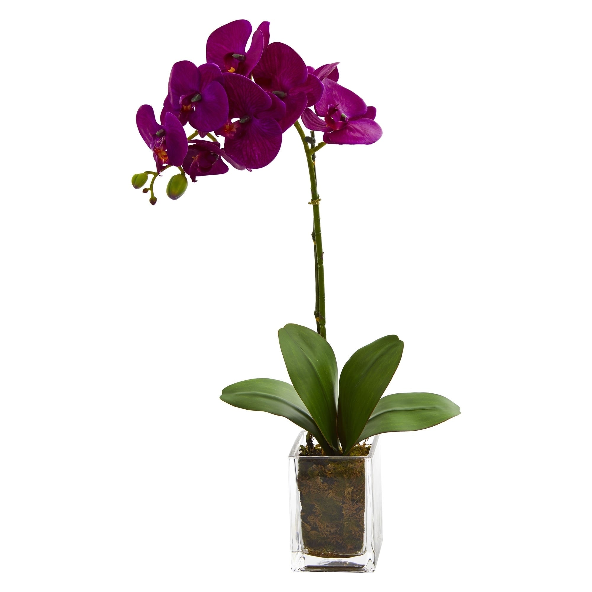 24 Orchid Phalaenopsis Artificial Arrangement In Vase