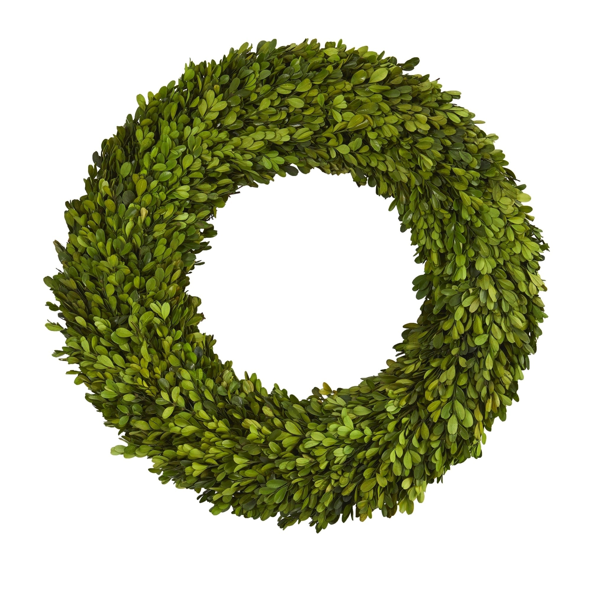 24 Preserved Boxwood Wreath