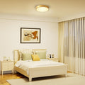 24 W Led Light Iron Metal Light Fixtures Gold Ceiling Light N A
