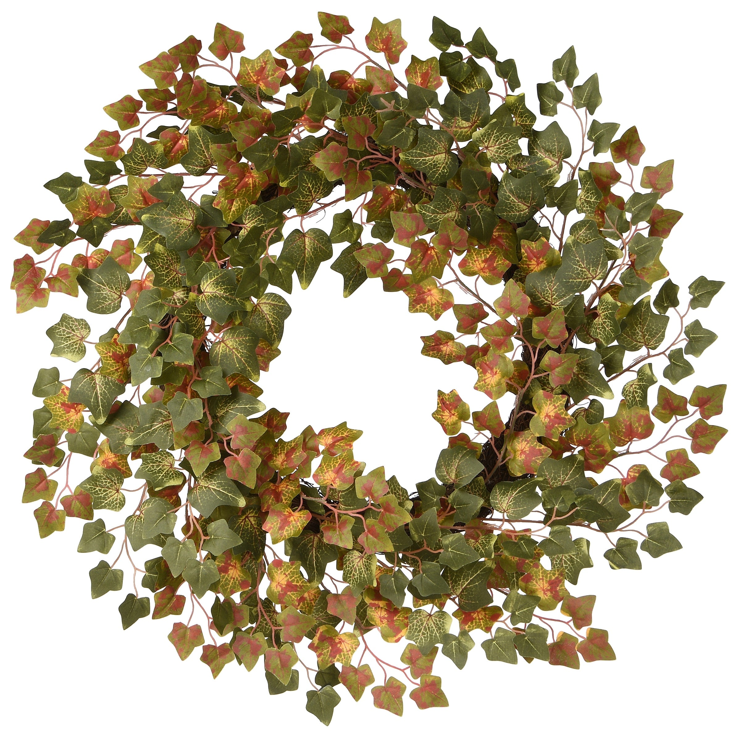24 Harvest Green Ivy Wreath