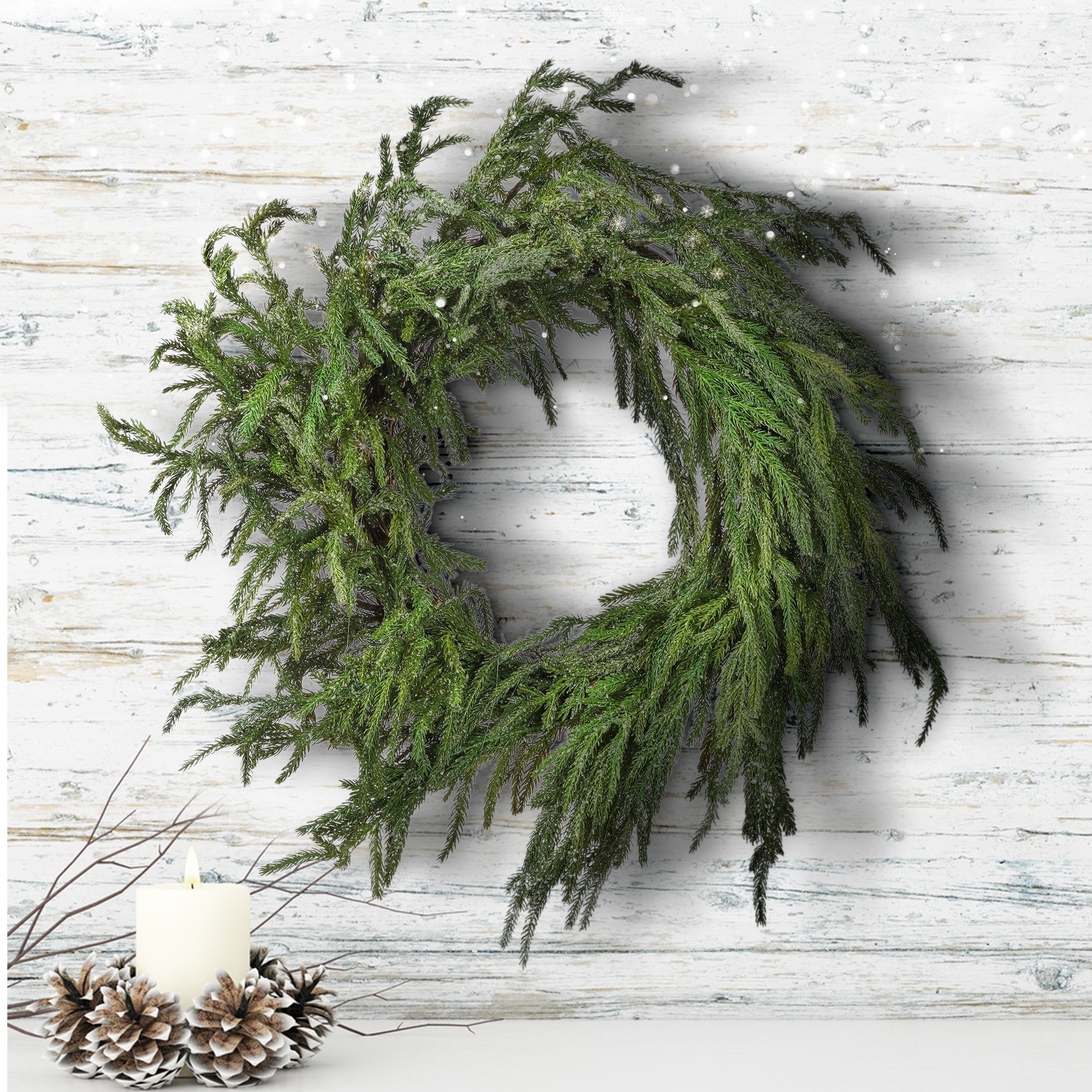 24 Iced Garden Norfolk Pine Wreath Natural Frost
