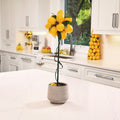 24 Lemon Potted Topiary