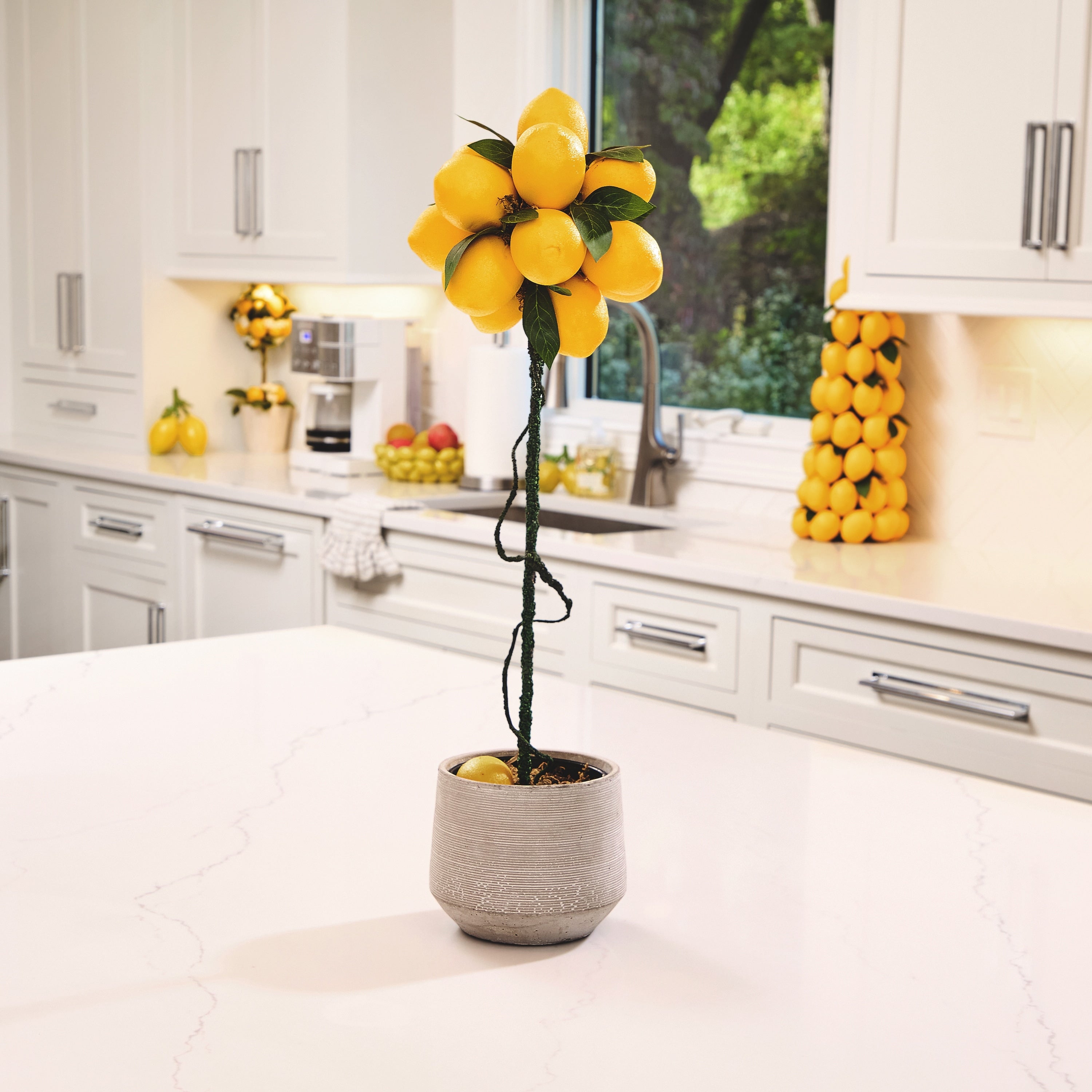 24 Lemon Potted Topiary