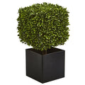 27 Boxwood Artificial Plant In Black Planter Indoor Outdoor