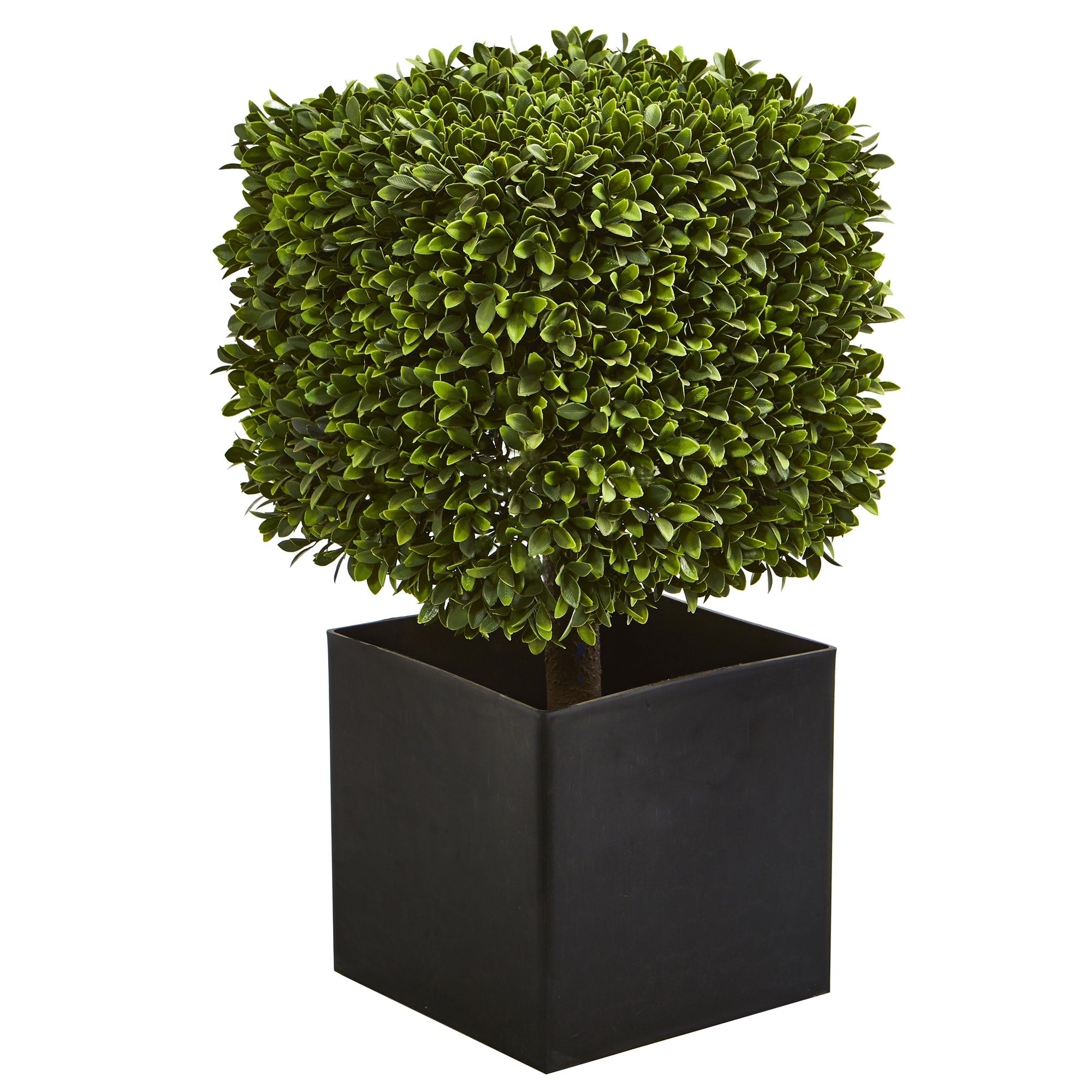 27 Boxwood Artificial Plant In Black Planter Indoor Outdoor