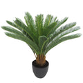 28In Sago Cycas Palm Tree In Pot 28 H X 31 W X 31 Dp