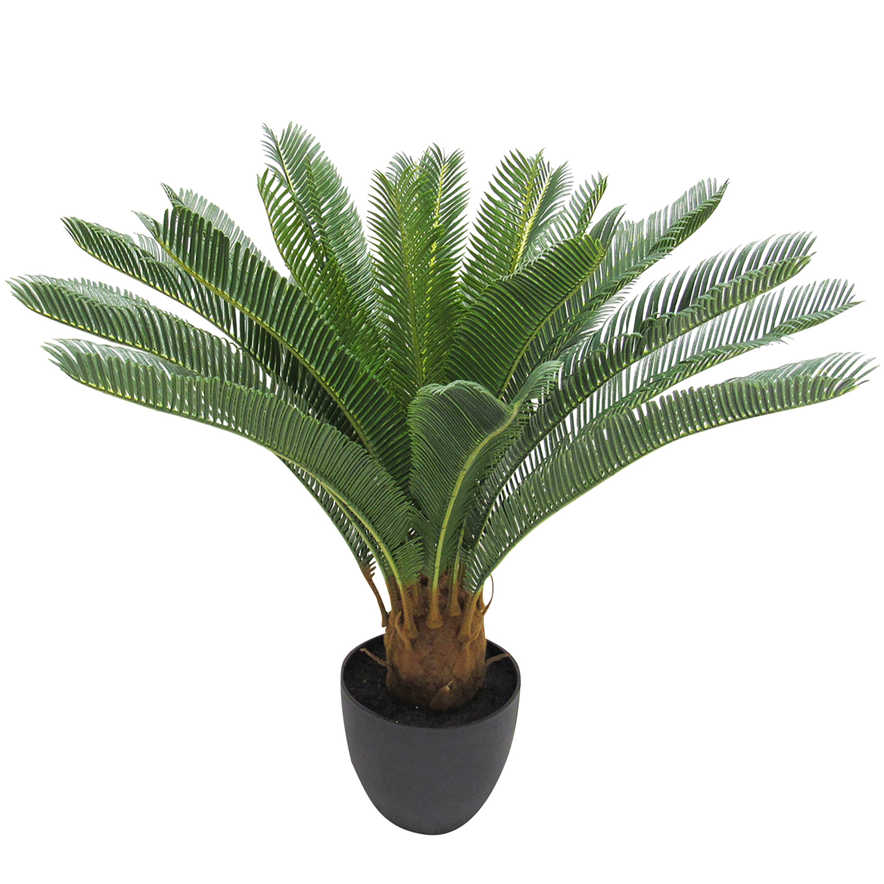 28In Sago Cycas Palm Tree In Pot 28 H X 31 W X 31 Dp