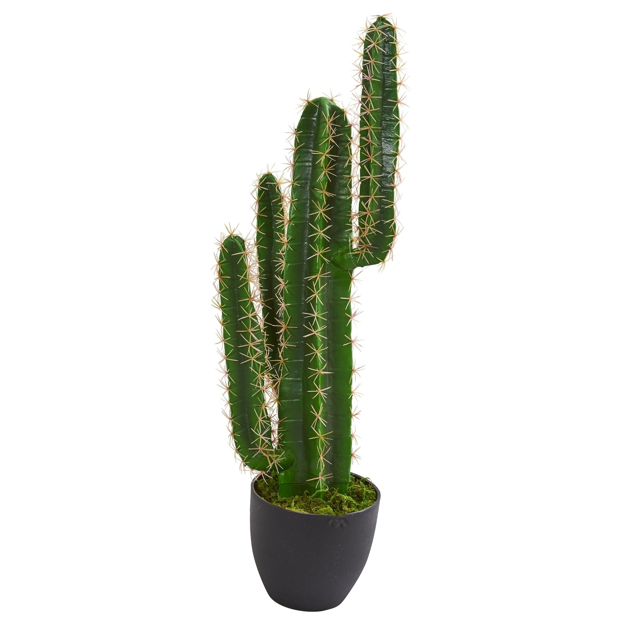 3 Cactus Artificial Plant H 3 Ft. W 8 In. D 8 In