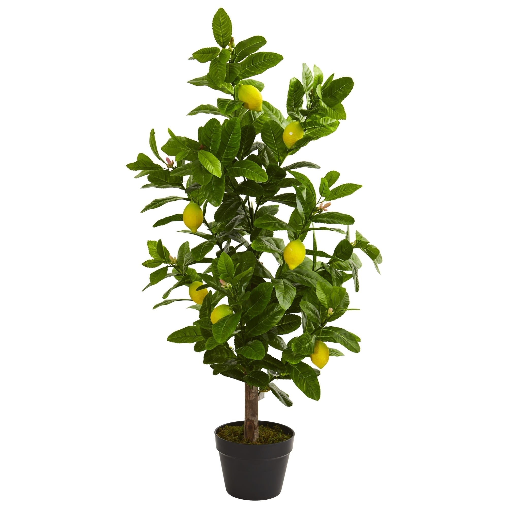 3 Lemon Artificial Tree H 3 Ft. W 12 In. D 12 In