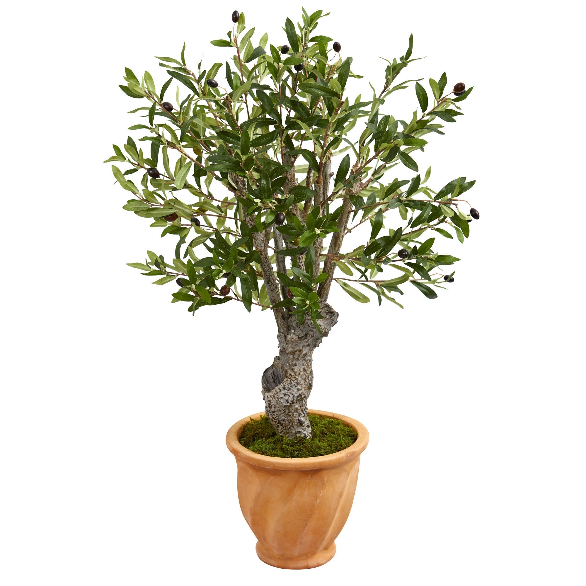 3 Olive Artificial Tree In Terracotta Planter