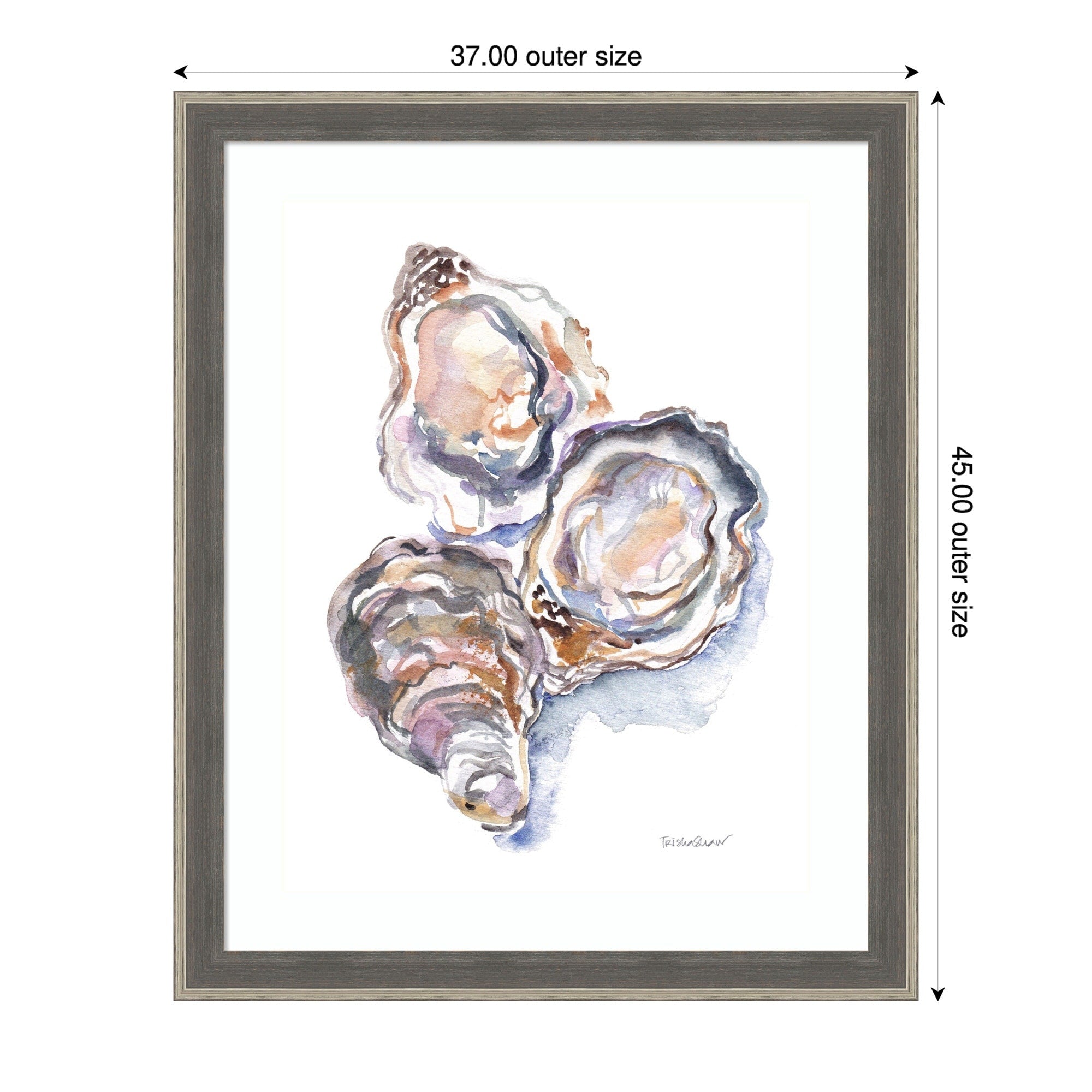 3 Oysters By Patricia Shaw Wood Framed Wall Art Print Cottage Grey Silver
