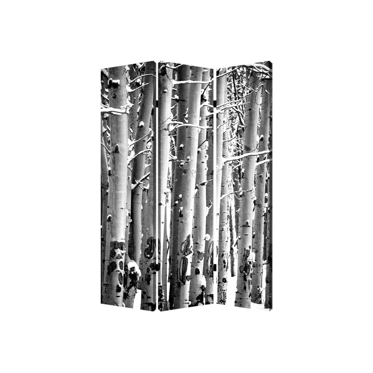 3 Panel Canvas Foldable Screen With Birch Print Black And White