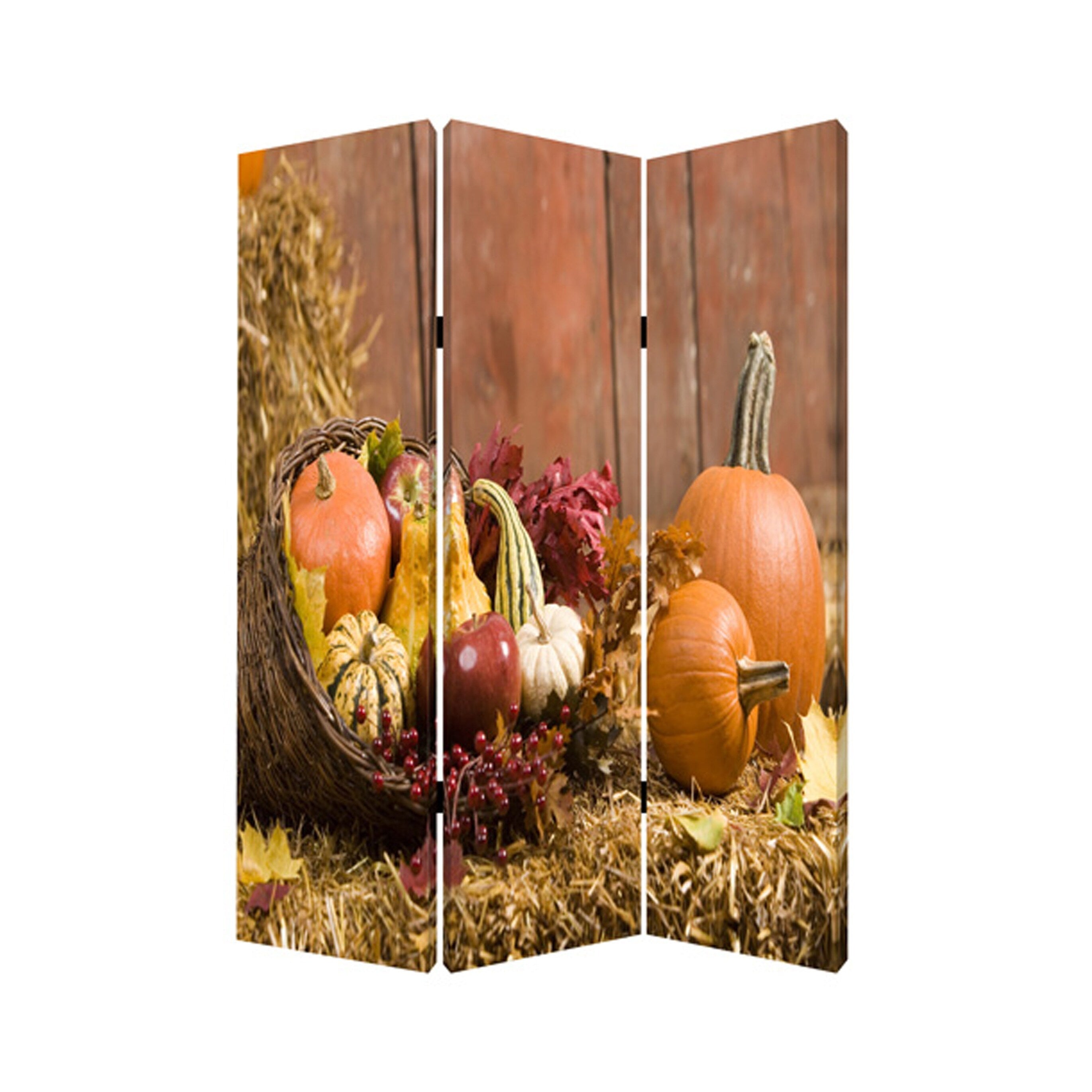 3 Panel Foldable Canvas Screen With Vegetable Still Print Multicolor