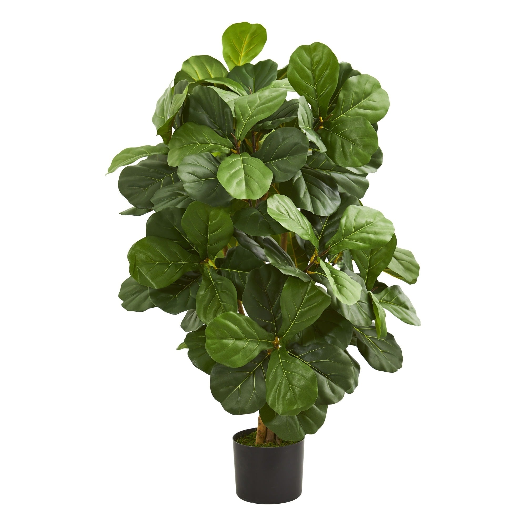 3.5 Fiddle Leaf Artificial Tree H 3.5 Ft. W 26 In. D 24 In