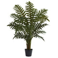 3.5 Foot Evergreen Plant