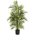 3.5 Foot Areca Palm Indoor Outdoor