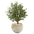 Nearly Natural 31 Inch Olive Artificial Tree In Beige Bowl Planter