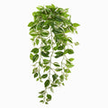 Nearly Natural 32 Inch Wandering Jew Hanging Artificial Real Touch Plant Set Of 2