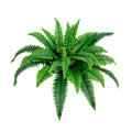 32 In Artificial Boston Fern Set Of 2