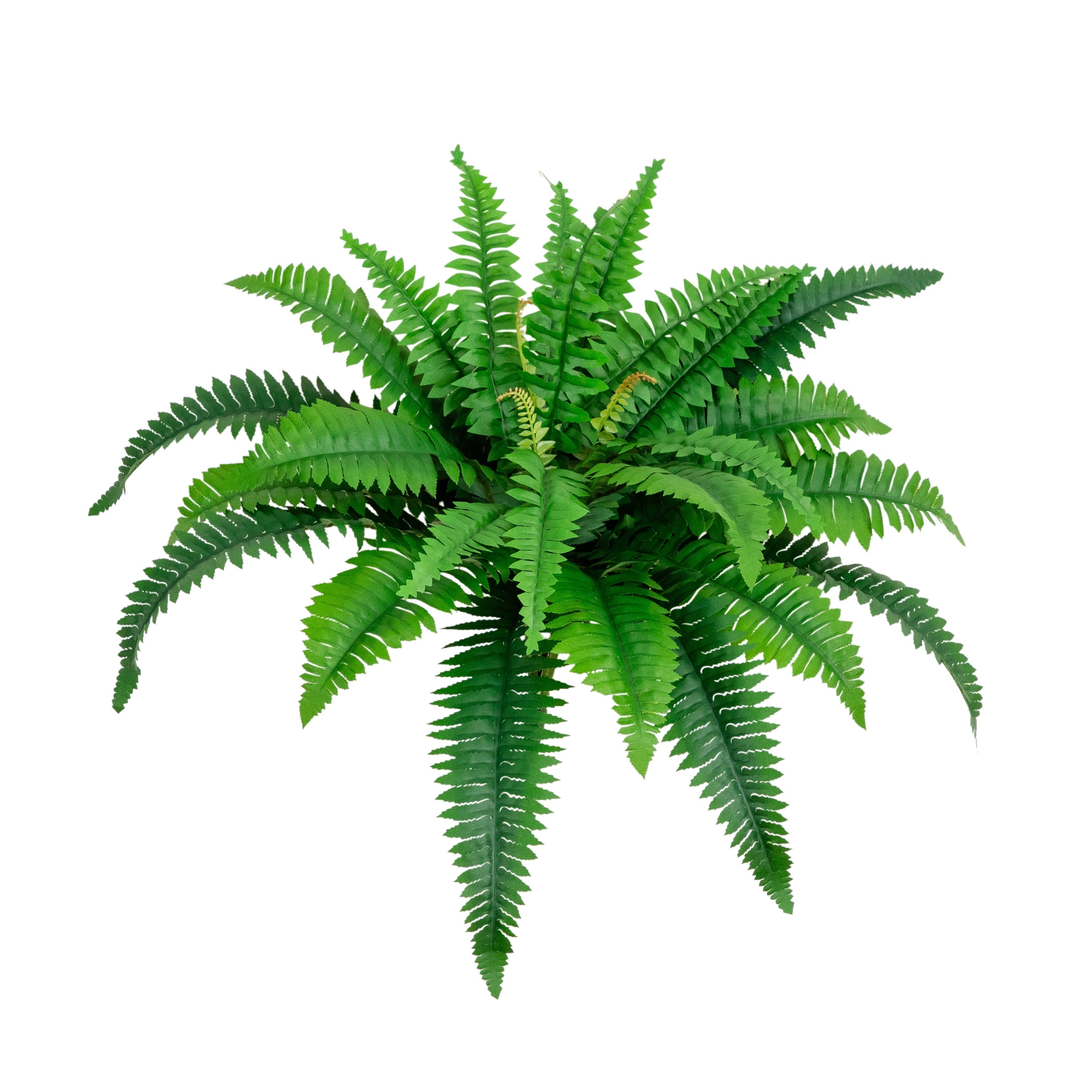 32 In Artificial Boston Fern Set Of 2