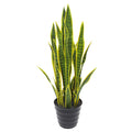 32In Sansevieria Snake Plant In Pot 32 H X 10 W X 10 Dp