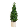 34 In Uv Resistant Artificial Boxwood Topiary Cone Tree