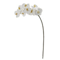 35 Phalaenopsis Orchid Artificial Flower Set Of 6