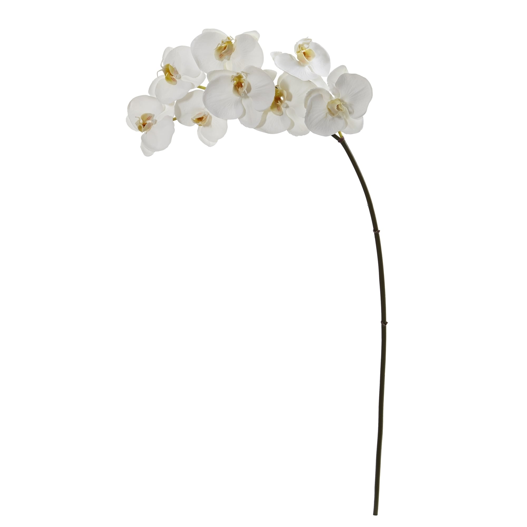 35 Phalaenopsis Orchid Artificial Flower Set Of 6
