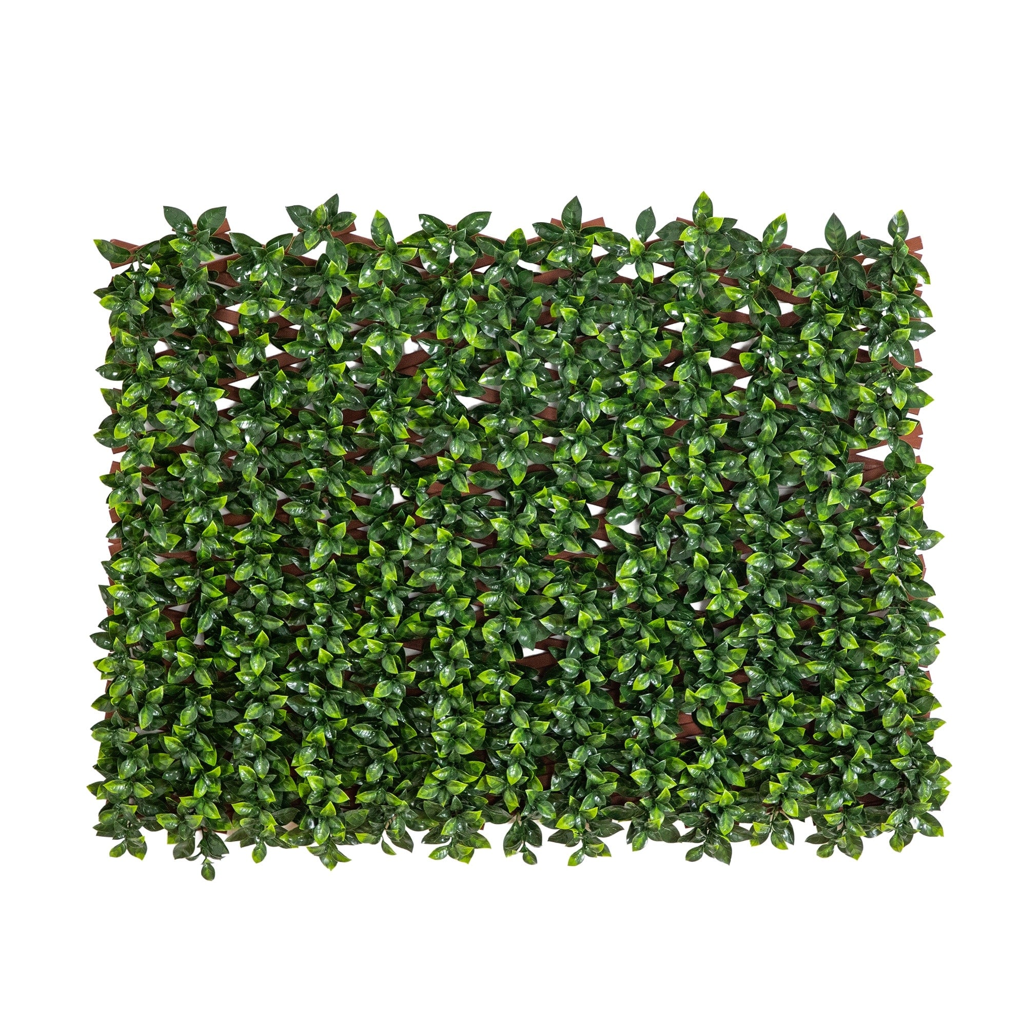 36 In X 72 In Uv Resistant Gardenia Expandable Privacy Fence