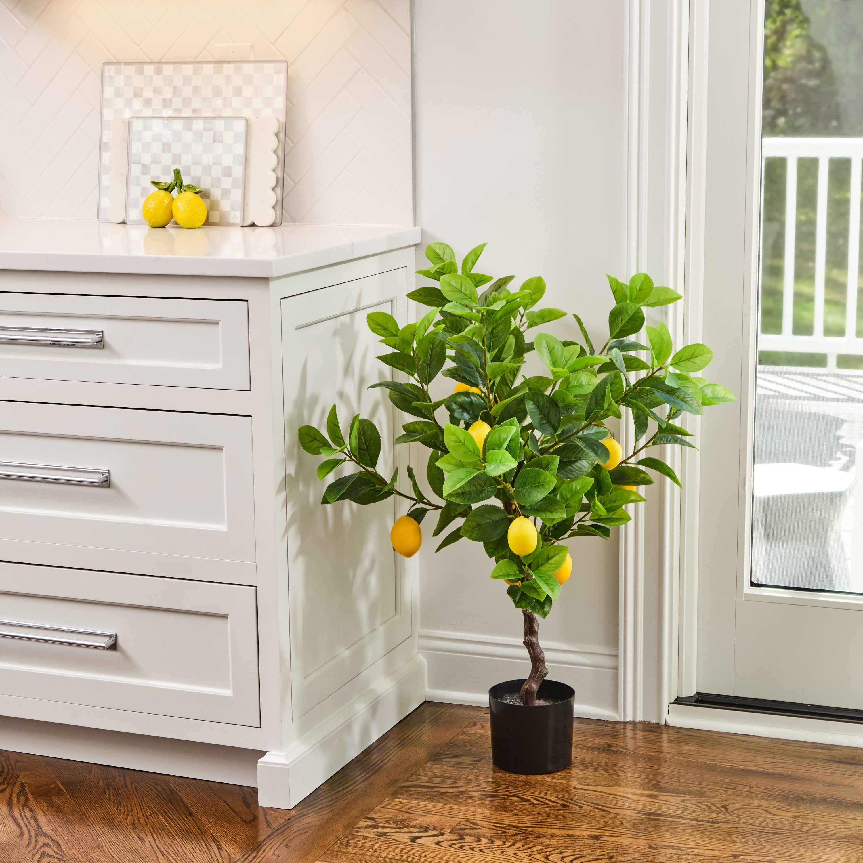 36 Potted Lemon Bush