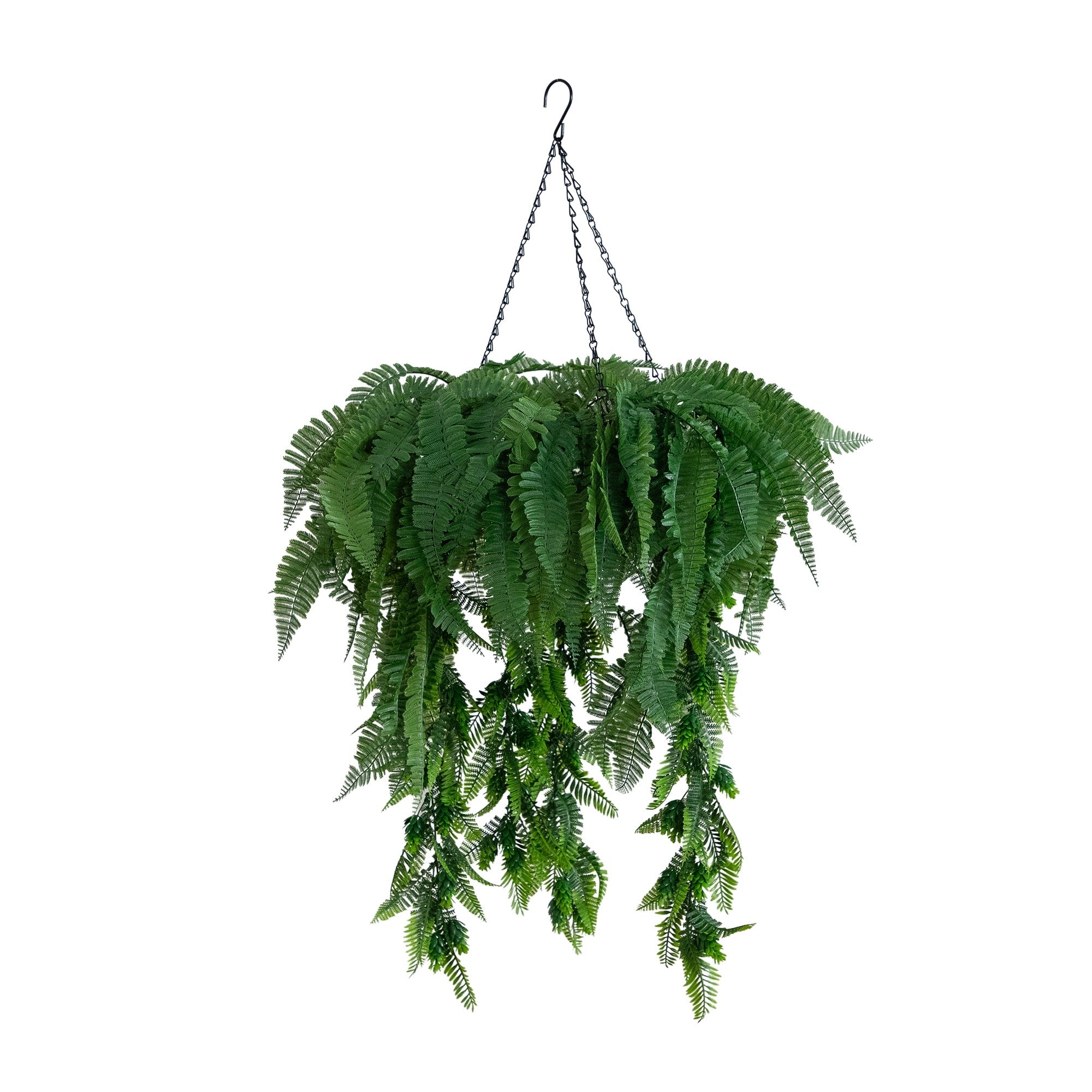 39 In Uv Resistant Mixed Ferns Plant In Hanging Ring Indoor Outdoor