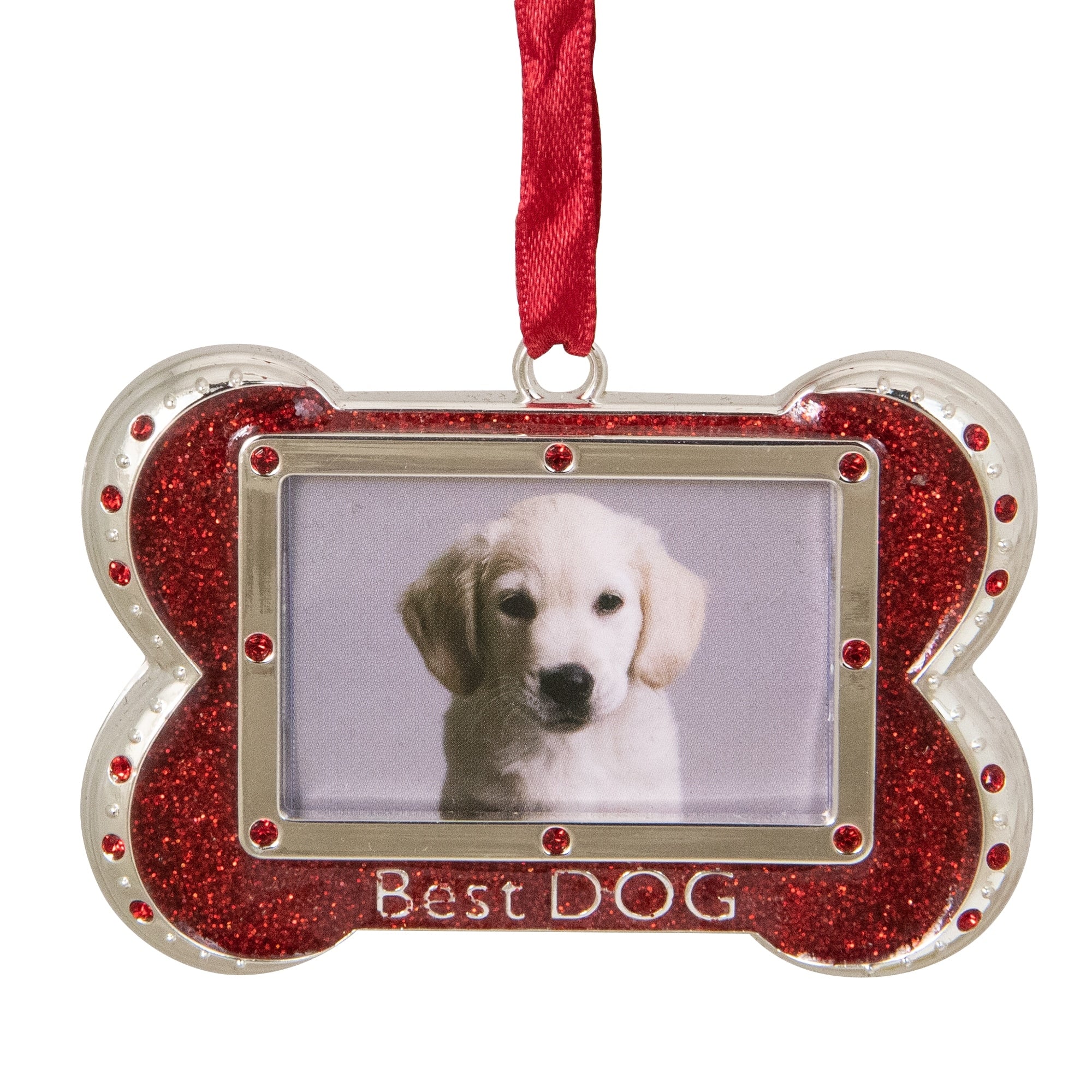 3 Regal Shiny Silver Plated Red Best Dog Bone Picture Ornament With European Crystals