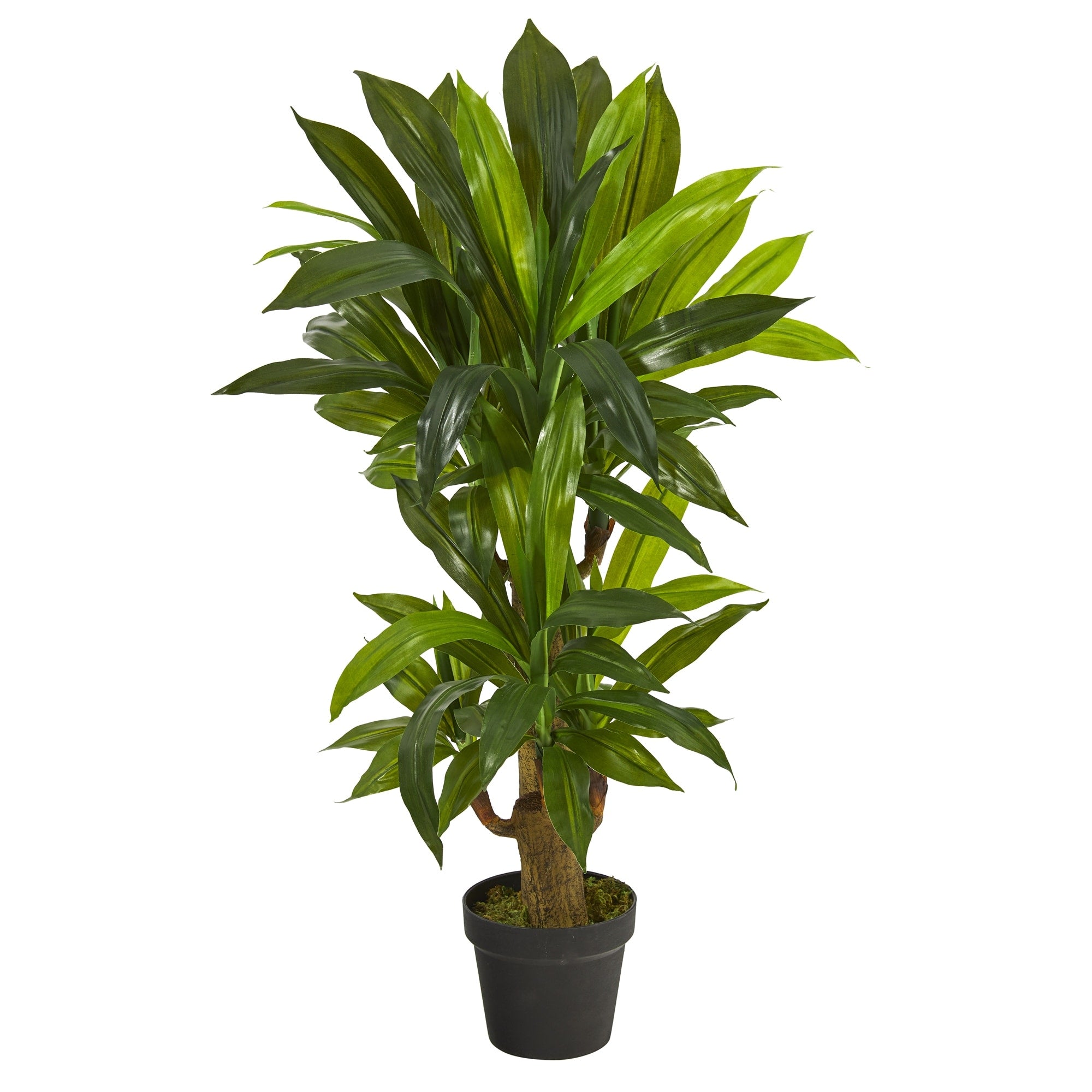 3 Corn Stalk Dracaena Artificial Plant Real Touch