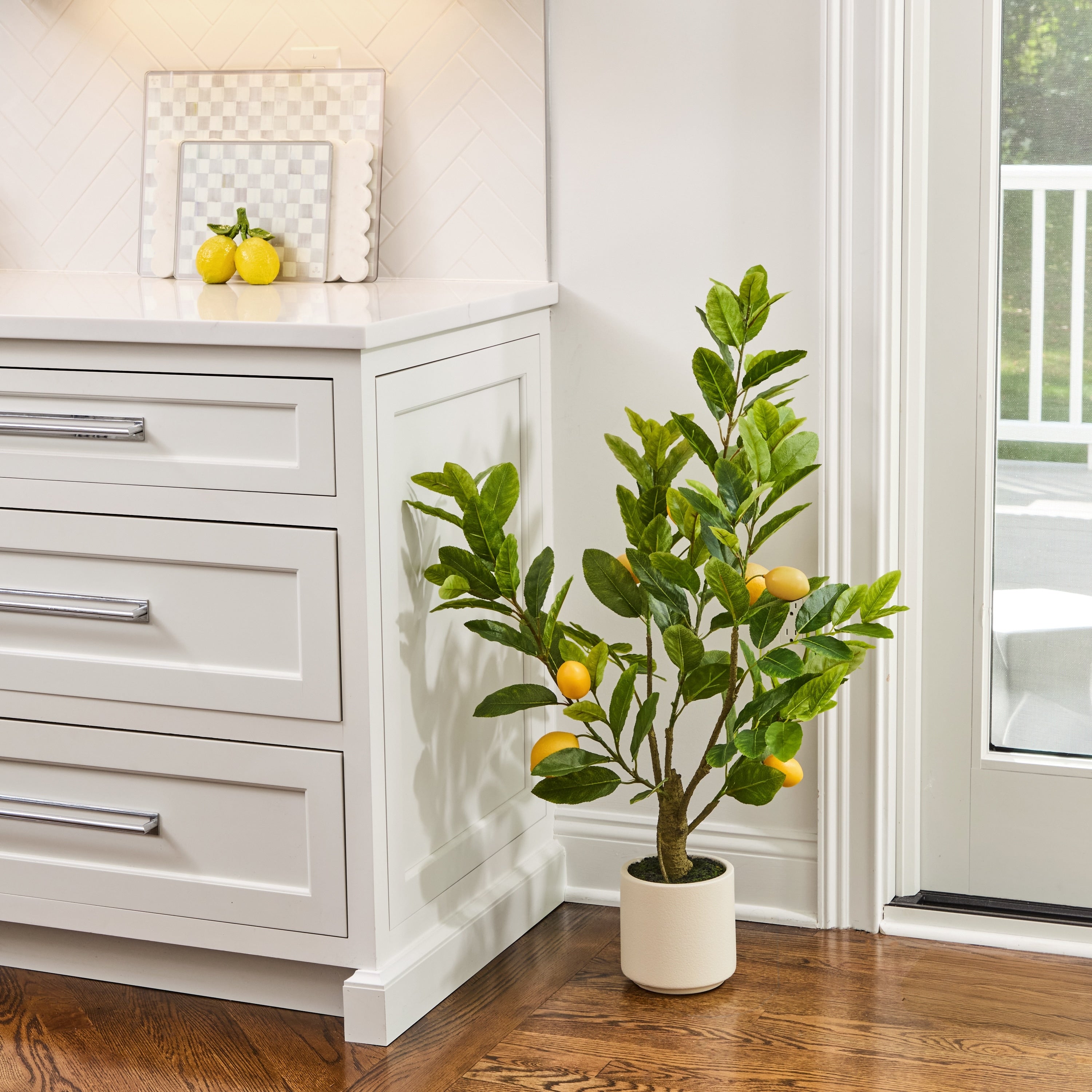 3 Potted Tuscan Lemon Tree