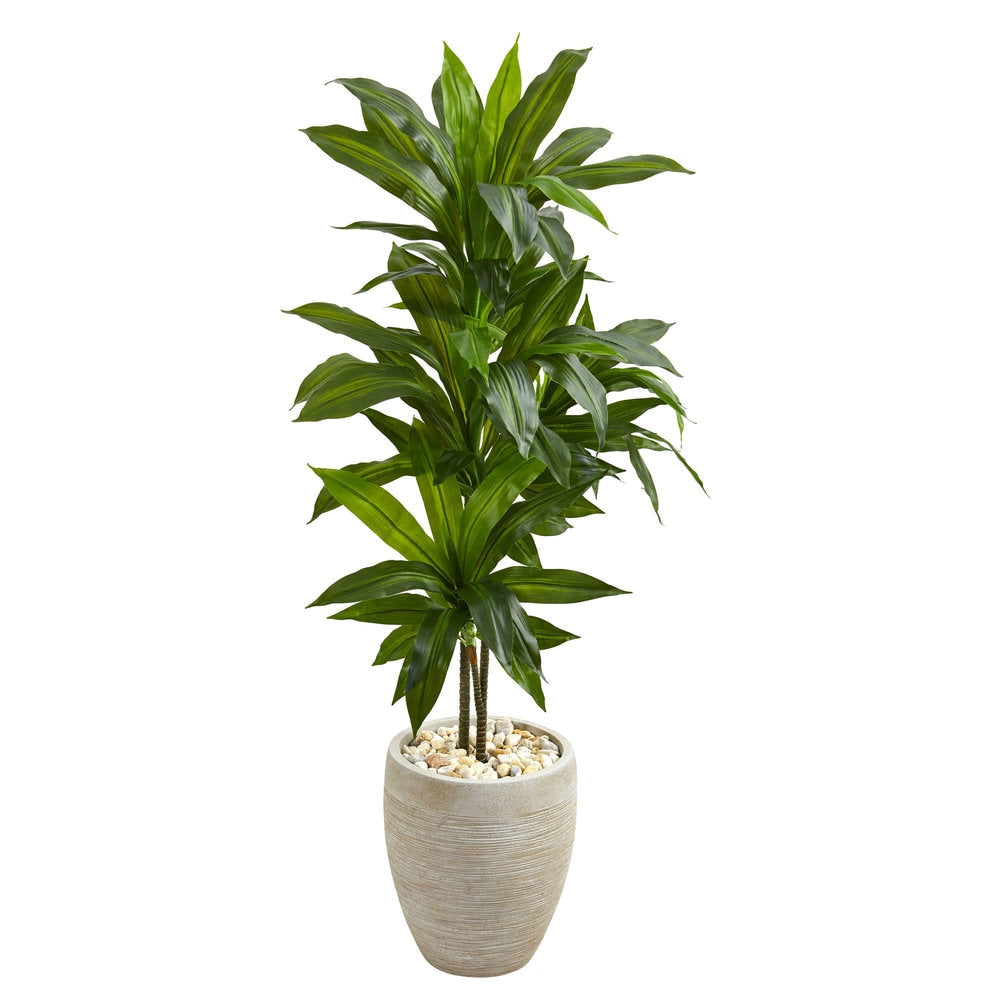 4 Dracaena Artificial Plant In Sand Colored Planter Real Touch