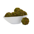 4 Sedum Artificial Succulent Artificial Spheres Set Of 6