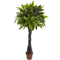 4 Foot Money Plant Real Touch