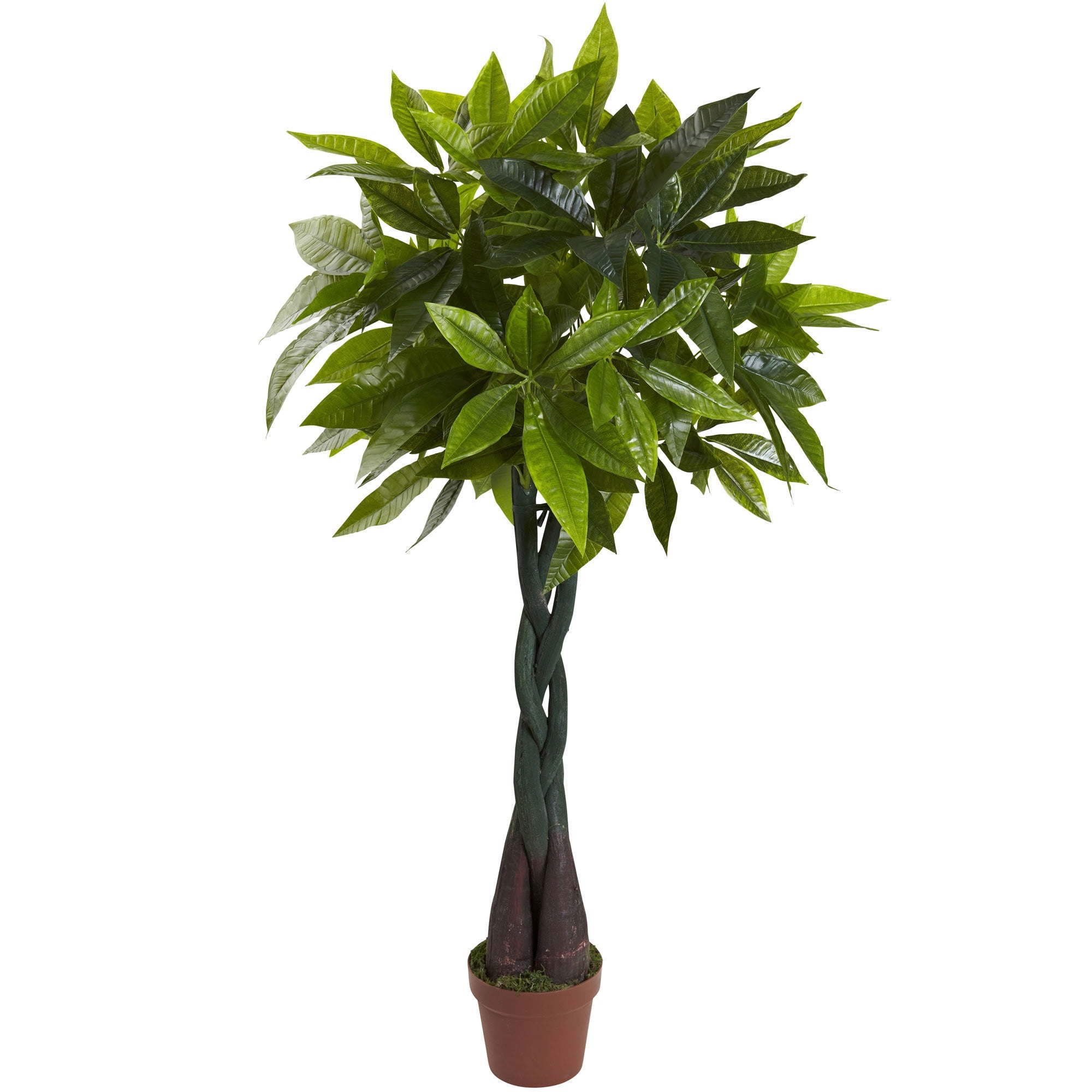 4 Foot Money Plant Real Touch