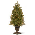 4 Foot Downswept Douglas Fir Entrance Tree With Clear Lights