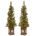 4 Ft. Lehigh Valley Pine Entrance Trees With Clear Lights Set Of Two