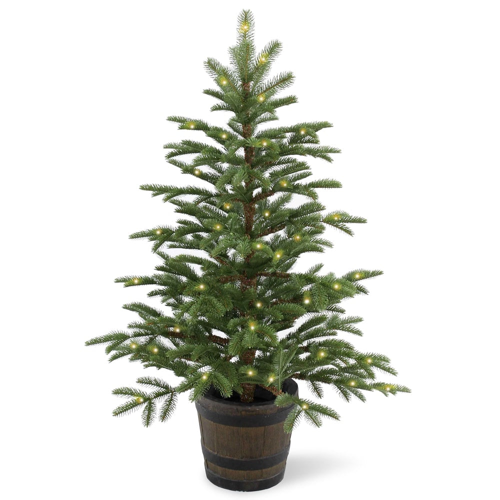 Norwegian Spruce 4 Foot Entrance Tree With Clear Lights