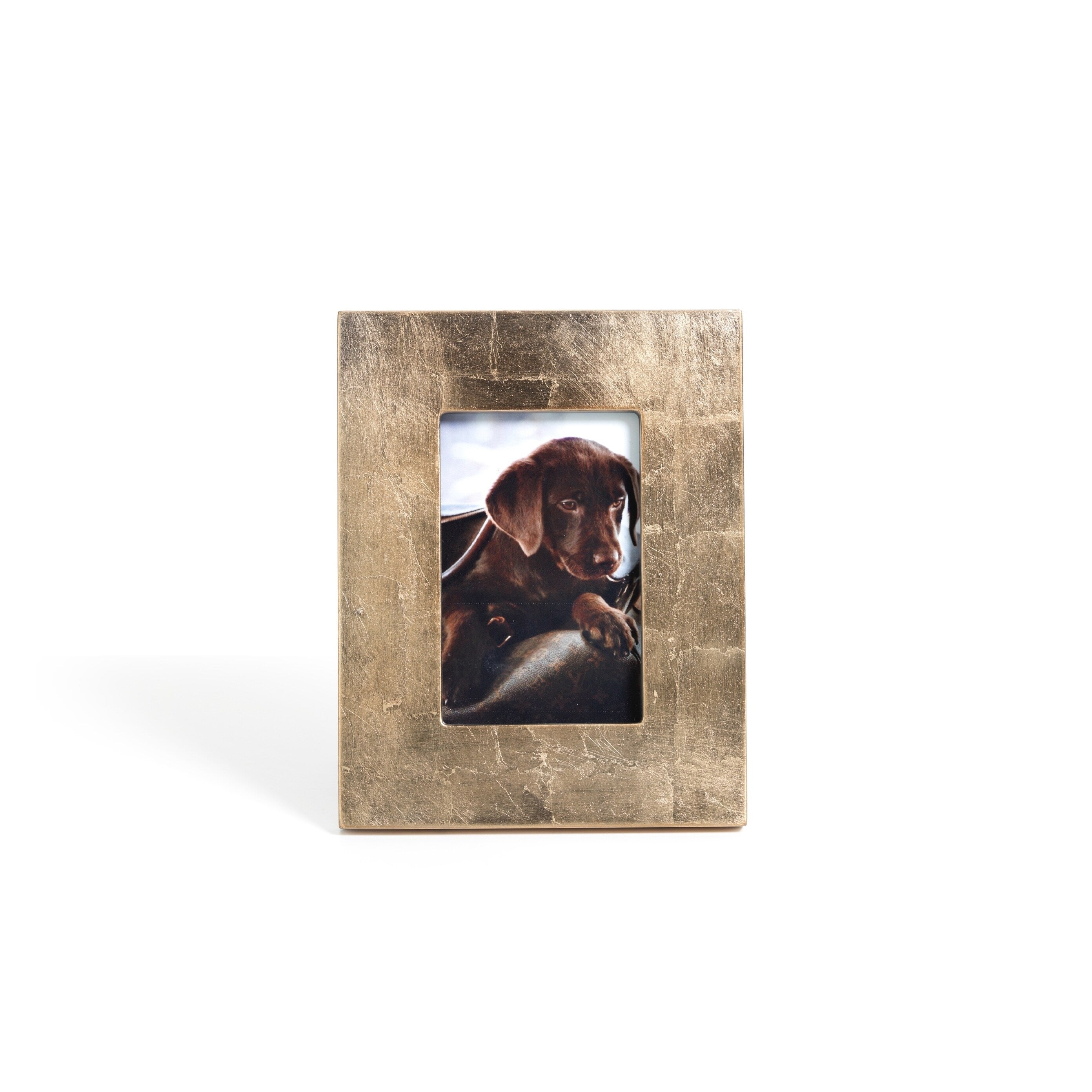 4 X 6 Photo Frame Gold Finish With Leaf Design
